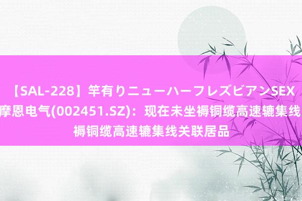 【SAL-228】竿有りニューハーフレズビアンSEX1125分 摩恩电气(002451.SZ)：现在未坐褥铜缆高速辘集线关联居品