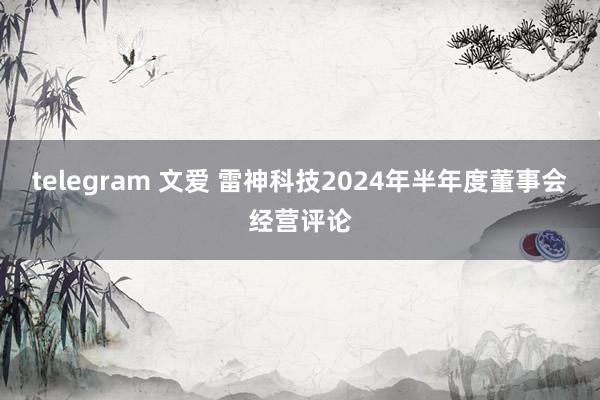 telegram 文爱 雷神科技2024年半年度董事会经营评论